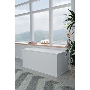 Çeyiz Sandığı Çok Amaçlı Saklama Kutusu Salon Antre Mobilyası Oyuncak Organizer Sandık 125x40 Cm