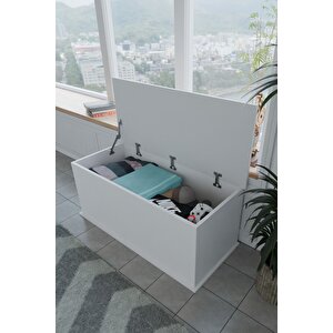 Çeyiz Sandığı Çok Amaçlı Saklama Kutusu Salon Antre Mobilyası Oyuncak Organizer Sandık 125x40 Cm