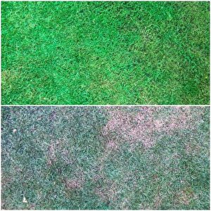 İsonem Grass Paint Çim Boyası 1 Kg Yeşil