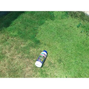 İsonem Grass Paint Çim Boyası 1 Kg Yeşil