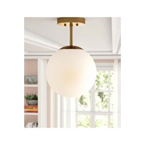 Modern Tekli Beyaz Glop Camlı Tavan Salon Oturma Odası Mutfak Hol Antre Avize Eskitme Gold