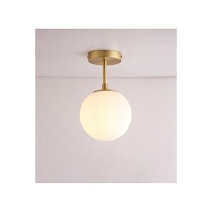 Modern Tekli Beyaz Glop Camlı Tavan Salon Oturma Odası Mutfak Hol Antre Avize Eskitme Gold
