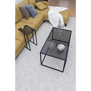 Li̇zbon Orta Sehpa Füme Cam & Alaska C Sehpa Füme Cam