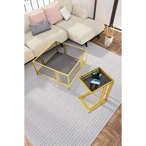 Uranüs Gold Orta Sehpa Füme Cam & İbi̇za Gold Zi̇gon Sehpa Füme Cam
