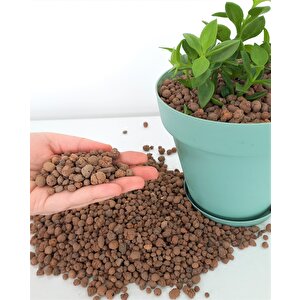 Kil Bilyesi 2 Lt 3-8 Mm Genleştirilmiş Kil Bilyesi Hidroponik Kil Bilyesi Orkide Kil Bilyesi