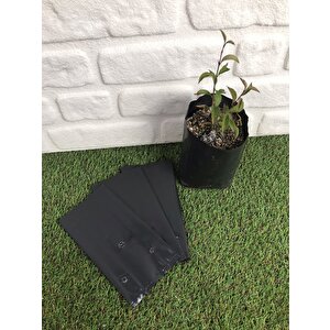 Fidan Poşeti 11x22 Cm 4 Kg Fidan Torbası Fide Poşeti Fide Torbası Fide Tüpü Fide Yetiştir