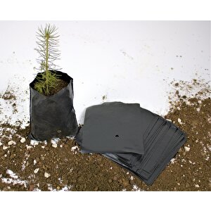 Fidan Poşeti 9x11 Cm 7 Kg  Körüksüz Fide Poşeti Fide Torbası Fidan Körüksüz Fidan Torbası