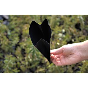 Fide Poşeti 9x15 Cm 9 Kg Körüklü Fide Torbası Fidan Poşeti Fidan Torbası Fide Yetiştirme