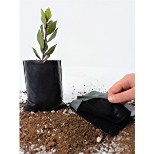 Fide Poşeti 11x13 Cm 5 Kg  Fide Torbası Fidan Poşeti Fidan Torbası