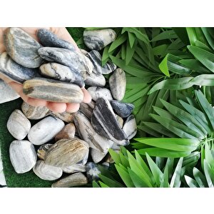 Siyah Beyaz Çizgili Dolomit Taş 2 Kg 2,5-4 Cm Siyah Beyaz Bahçe Taşı Dekor Taşı Dekoratif Taş