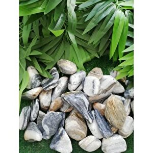 Siyah Beyaz Çizgili Dolomit Taş 7 Kg 2,5-4 Cm Siyah Beyaz Bahçe Taşı Dekor Taşı Dekoratif Taş