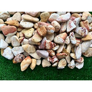 Sarı Renkli Dolomit Taş 10 Kg 2-4 Cm Sarı Çizgili Bahçe Taşı Saksı Dibi Süs Taşı Akvaryum Taşı