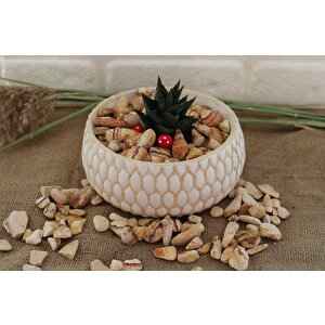 Sarı Renkli Dolomit Taş 4 Kg 1-2 Cm Sarı Çizgili Bahçe Taşı Süs Taşı Akvaryum Taşı Teraryum Taşı