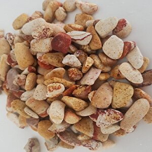 Sarı Renkli Dolomit Taş 4 Kg 1-2 Cm Sarı Çizgili Bahçe Taşı Süs Taşı Akvaryum Taşı Teraryum Taşı