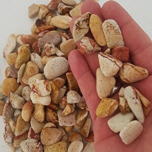 Sarı Renkli Dolomit Taş 4 Kg 1-2 Cm Sarı Çizgili Bahçe Taşı Süs Taşı Akvaryum Taşı Teraryum Taşı