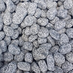 Benekli Taş 2 Kg 2-4 Cm Siyah Beyaz Benekli Taş Granit Dolomit Taş Dekoratif Taş Bahçe Dekor Taşı