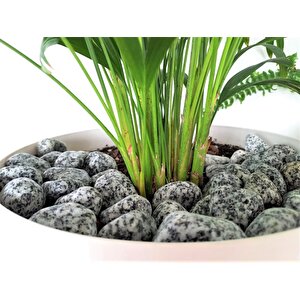 Benekli Taş 25 Kg 2-4 Cm Siyah Beyaz Benekli Taş Granit Dolomit Taş Dekoratif Taş Bahçe Dekor Taşı
