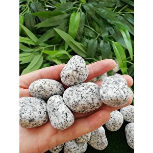 Benekli Taş 6 Kg 2-4 Cm Siyah Beyaz Benekli Taş Granit Dolomit Taş Dekoratif Taş Bahçe Dekor Taşı