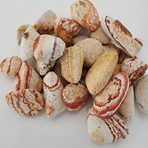 Sarı Renkli Dolomit Taş 9 Kg 2-4 Cm Sarı Çizgili Bahçe Taşı Saksı Dibi Süs Taşı Akvaryum Taşı