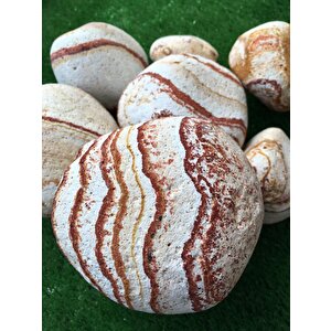 Sarı Renk Dolomit Taş 25 Kg 6-10 Cm Sarı Çizgili Bahçe Taşı Dekoratif Taş Peyzaj Taşı Saksı Dibi Taş