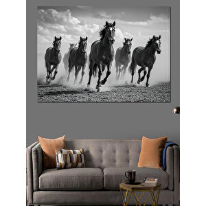 Siyah Beyaz Koşan Atlar Dekoratif Kanvas - Mdf Ahşap Tablo 70x100 cm