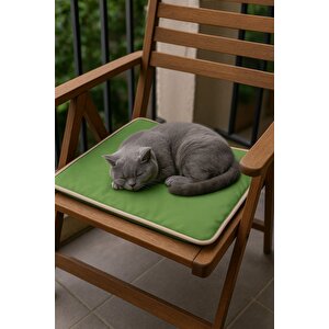 Thermo Mat 2’si 1 Arada Jel Dolgulu Yazın Soğuk, Kışın Sıcak Kullanılabilen Kedi Ve Köpek Matı
