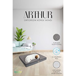 Arthur, Visco Süngerli, Çıkarılabilir Kılıflı, Su Geçirmez, Yüksek Kaliteli Kedi Ve Köpek Yatağı