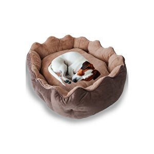Elsa, Yüksek Kaliteli, Konforlu, Estetik Kedi Ve Köpek Yatağı