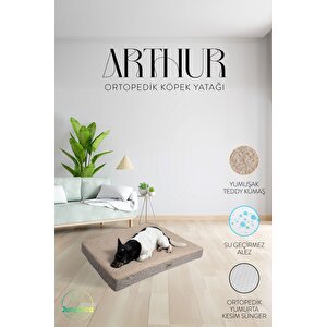 Arthur, Visco Süngerli, Çıkarılabilir Kılıflı, Su Geçirmez, Yüksek Kaliteli Kedi Ve Köpek Yatağı
