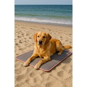 Thermo Mat 2’si 1 Arada Jel Dolgulu Yazın Soğuk, Kışın Sıcak Kullanılabilen Kedi Ve Köpek Matı