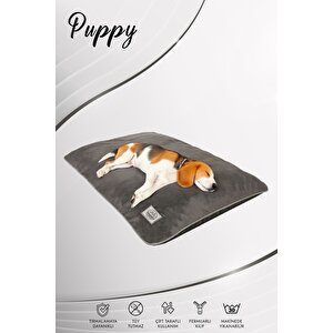 Puppy, Tırmalamaya Dayanıklı, Tüy Tutmayan Kumaş, Çıkarılabilir Kılıflı, Kedi, Köpek Yer Minderi