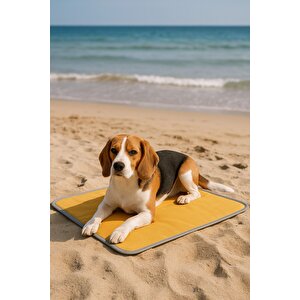 Thermo Mat 2’si 1 Arada Jel Dolgulu Yazın Soğuk, Kışın Sıcak Kullanılabilen Kedi Ve Köpek Matı