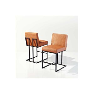 Frame Siyah Metal Sandalye Deri