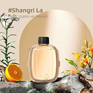 Mio Smell 2x Aromaterapi Yedek Oda Kokusu - Shangri-la Kokusu (1 Adet)