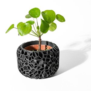 3d Tasarım Organik Hücre Desenli Siyah Plastik Saksı – Modern Ve Sanatsal