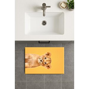 Banyo Paspası, Yıkanabilir - Kaydırmaz Taban 50x70 cm