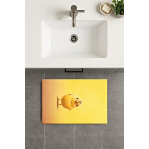 Banyo Paspası, Yıkanabilir - Kaydırmaz Taban 60x100 cm