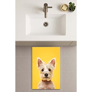 Banyo Paspası, Yıkanabilir - Kaydırmaz Taban