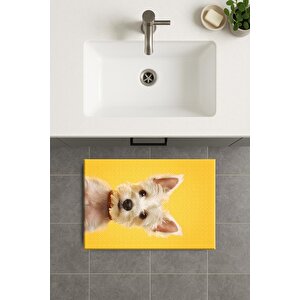 Banyo Paspası, Yıkanabilir - Kaydırmaz Taban