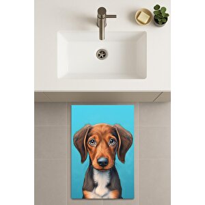 Banyo Paspası, Yıkanabilir - Kaydırmaz Taban
