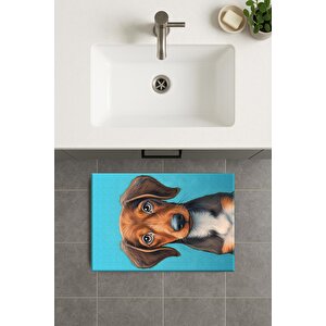 Banyo Paspası, Yıkanabilir - Kaydırmaz Taban 50x70 cm