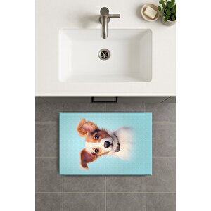 Banyo Paspası, Yıkanabilir - Kaydırmaz Taban 50x70 cm