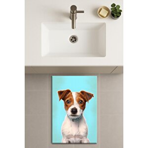 Banyo Paspası, Yıkanabilir - Kaydırmaz Taban 60x100 cm
