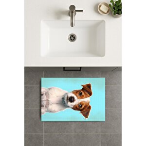 Banyo Paspası, Yıkanabilir - Kaydırmaz Taban 40x60 cm
