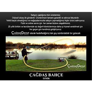 Palmera Hp50d5  Di̇zel Su Motoru 2i̇nch 4,7 Hp  Euro5 Motor