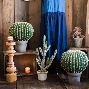 Yapay Çiçek Echinocactus Grusonii Altın Fıçı Kaktüs  35*35cm Cactüs  Sk4011