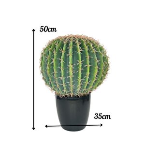 Yapay Çiçek Echinocactus Grusonii Altın Fıçı Kaktüs Siyah Saksıda 50*35cm Cactüs  Sk4011s