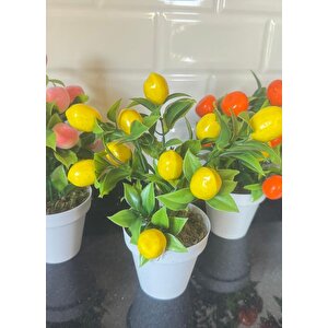 5li Set Yapay Çiçek Mini Saksıda Meyveler 20cm