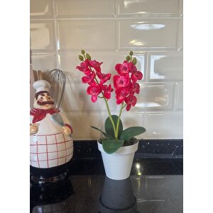 Yapay Çiçek Krem Saksıda Mini Orkide 2 Adet Beyaz Ve Fuşya Renk 28cm