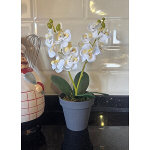 Yapay Çiçek Krem Saksıda Mini Orkide 2 Adet Beyaz Ve Fuşya Renk 28cm